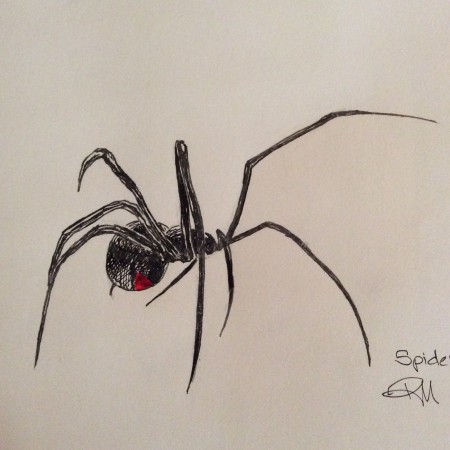 Day 30 was Spider and I drew a black widow.